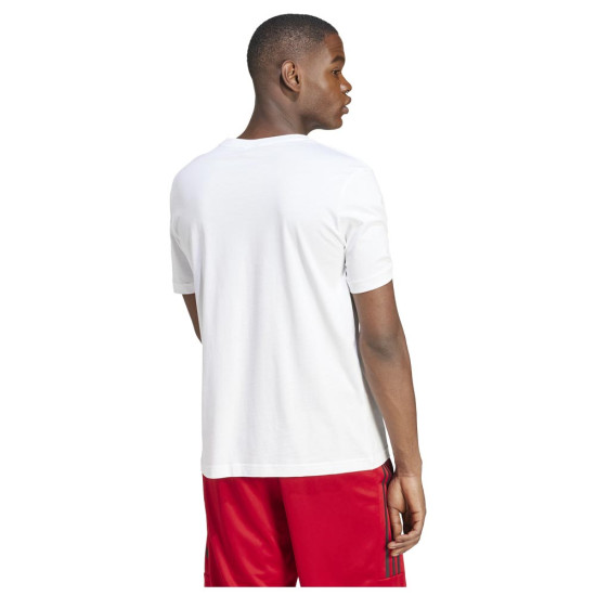 Adidas Ανδρική κοντομάνικη μπλούζα Sportswear Graphic Tee